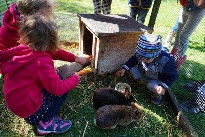 Kinder beim Kaninchen füttern
