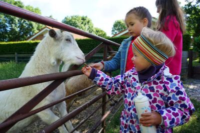 Kinder beim Füttern der Ziegen
